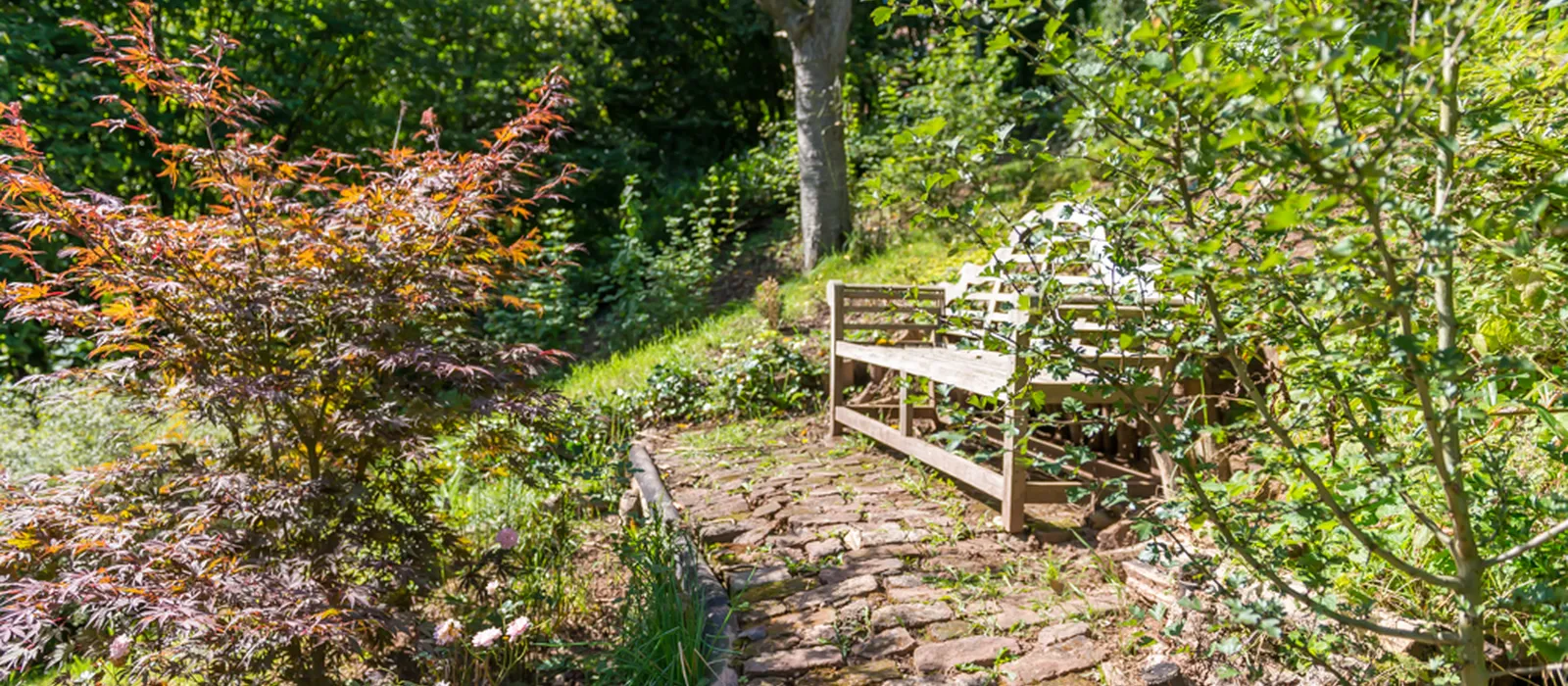 1770285768-21) wilde tuin (13)